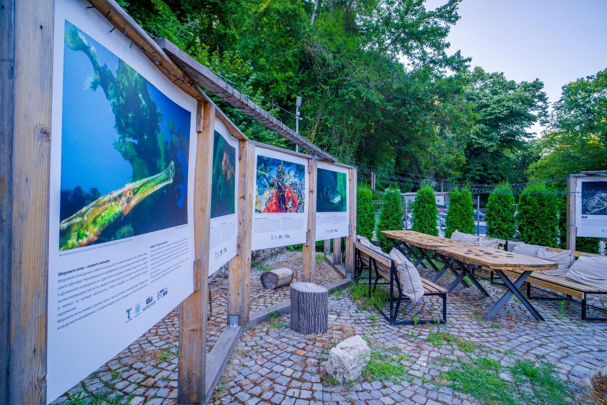 Къщички Синьо Лято, Черноморец - Варна - Blue Summer Houses Varna Exterior foto